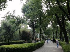 -莲湖公园