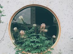 -沙龙酒家