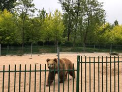 -秦皇岛野生动物园