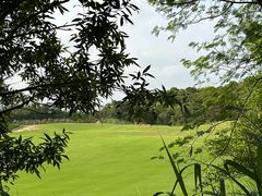 -马峦山郊野公园