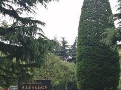 -宋庆龄陵园