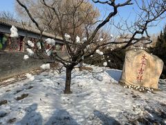 -莲花池公园