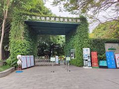 -华侨城湿地公园