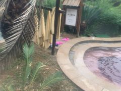 -咸宁万豪温泉谷度假区