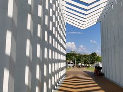 -风云岭森林公园