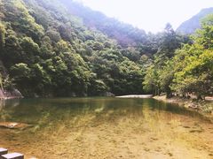 -龙湾潭国家森林公园