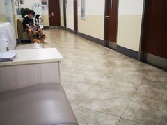 -美联众合动物医院·24h转诊中心