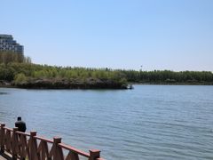 -丁香湖公园