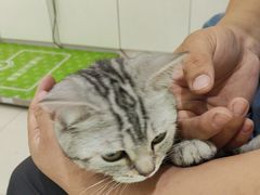 -瑞鹏宠物医院·爱宠堂(环西分院)