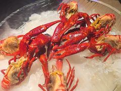 -红盔甲·小龙虾(车公庙店)