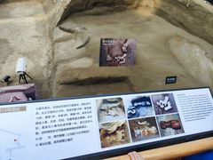 -金沙遗址博物馆