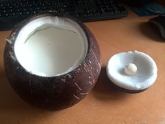 -志龙皇冠吃货椰子铺