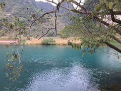 -靖西鹅泉风景区