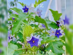 -国家植物园南园