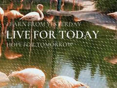 -石家庄市动物园