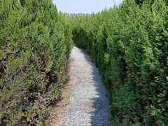 -红石沟生态休闲农场
