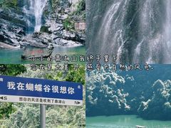 -鼎香皇高佬苏裹蒸粽