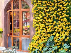 -月亮眼花园餐厅书吧酒吧