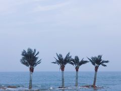 -北戴河碧螺塔海上酒吧公园