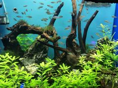 景点-多彩贵州城极地海洋世界