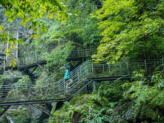 -龙苍沟森林公园