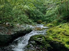 -关门山森林公园