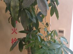 -八马茶业(星海胜利路旗舰店)