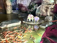 -泉城欧乐堡海洋极地世界