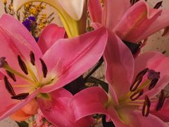 -彼德西餐厅(凯德广场新南店)