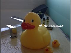 IMG_1352-厦门海港英迪格酒店(中山路店)