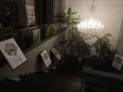 -重道造型