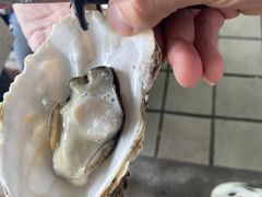 -同道蒸汽海鲜烧烤自助(刘庄夜市店)