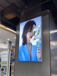 -藤野造型烫染接发