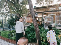 -蘇河湾·新鲁菜·泰山宴(泰山店)