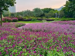 -文华公园(禅城区)