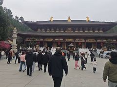 -庐山风景名胜区-东林大佛
