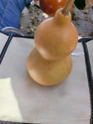 -Oasis Beauty水磨坊科技美肤中心