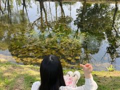 -嘉北郊野公园