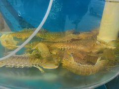 -仙螺岛海鲜自助餐厅(总店)