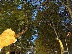 -西安电影制片厂