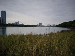 -南湖大桥