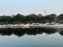 -新江湾城公园