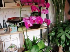 -FEI FEI FLOWER鲜花店·气球派对·宝宝宴布置(虹口德必运动Loft店)