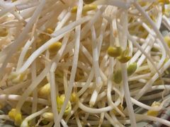 -城墙拐拐火锅(三峡广场黑金冠店)
