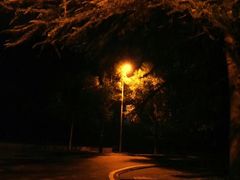 -广西大学(大学东路校区)