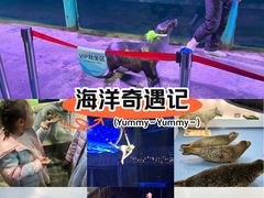 -大连圣亚海洋世界
