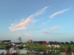-空港花田景区