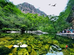 -京东石林峡风景区