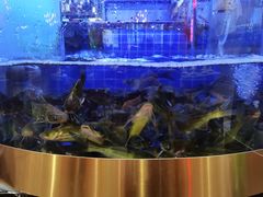-蛙一刀·麻椒鱼火锅(金仙桥店)