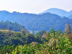 -田心森林公园